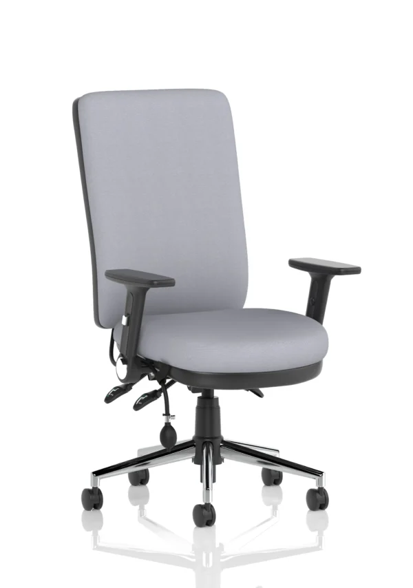 chiro office chair in grey colour