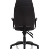 esme-office-chair-3 back view of esme chair