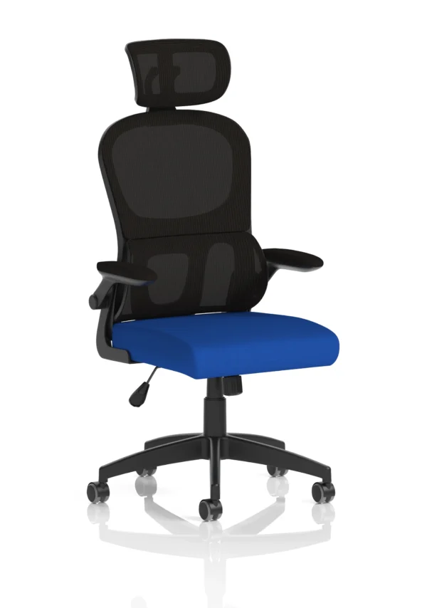 iris office chair with black back and blue seat